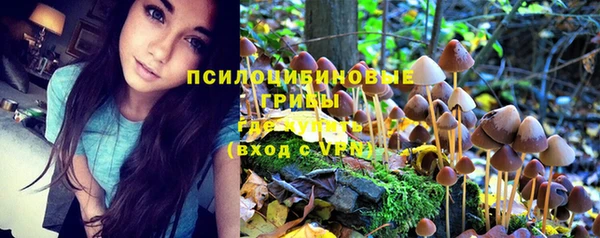 амф Армянск