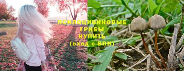 амф Армянск