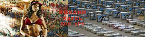 тгк Арсеньев