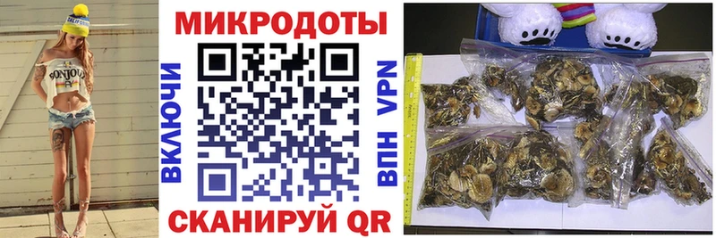 Купить  Славск  Галлюциногенные грибы Psilocybe 